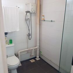 Blk 456 Teck Ghee Grandeur (Ang Mo Kio), HDB 3 Rooms #627414411